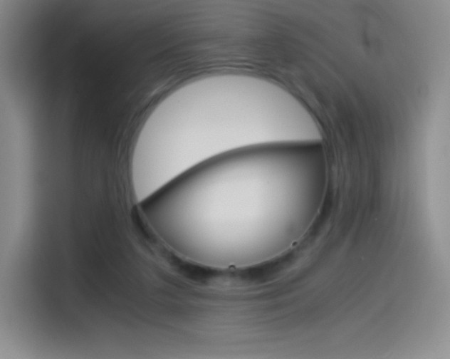 X0000114600211200910191101