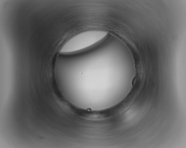 X0000114600212200910191100