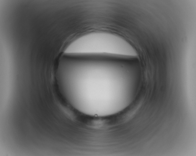 X0000114600216200910191100