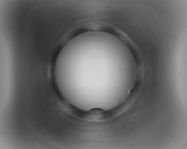 X0000114600217200910191100