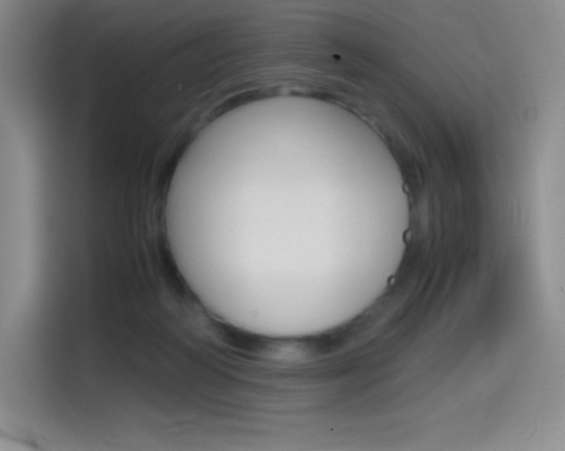 X0000114600218200910191100