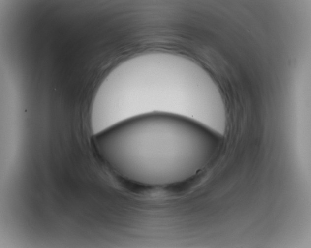 X0000114600219200910191100