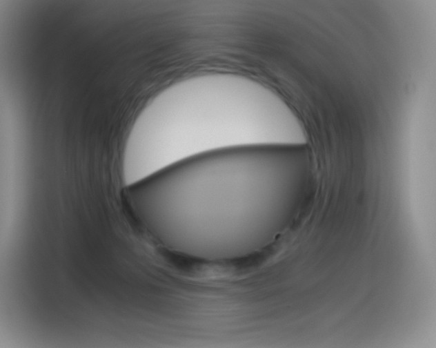 X0000114600223200910191100