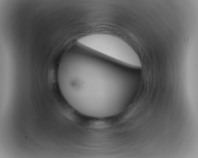 X0000114600224200910191100