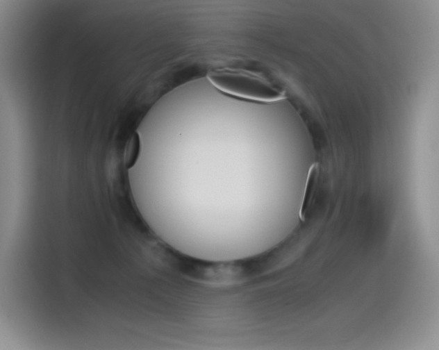 X0000114600225200910191100