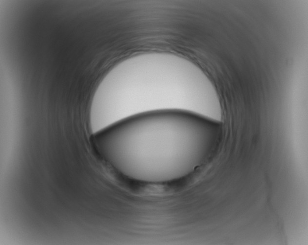 X0000114600227200910191100