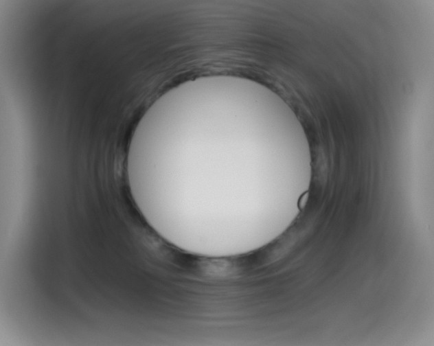 X0000114600230200910191100