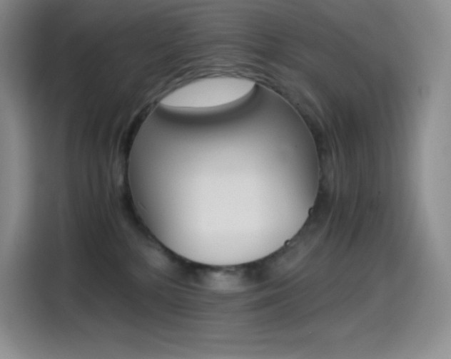 X0000114600232200910191100