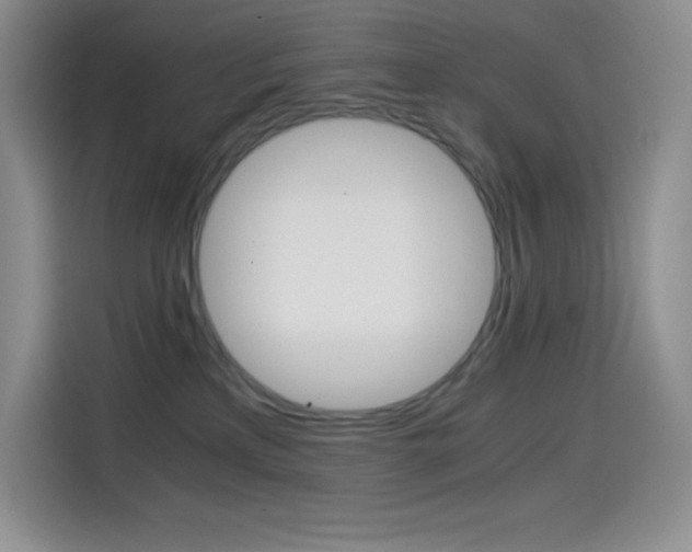 X0000114600233200910191100