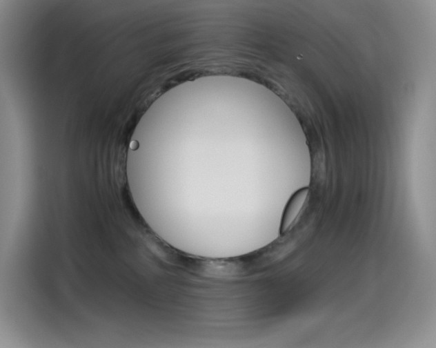 X0000114600234200910191100