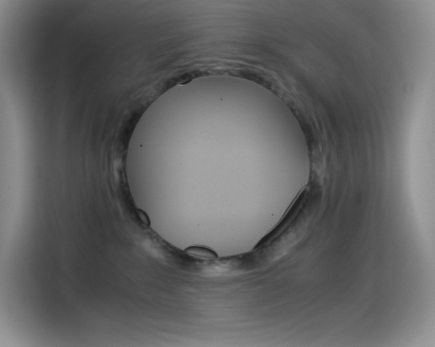 X0000114600235200910191100