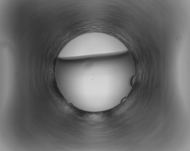 X0000114600236200910191100