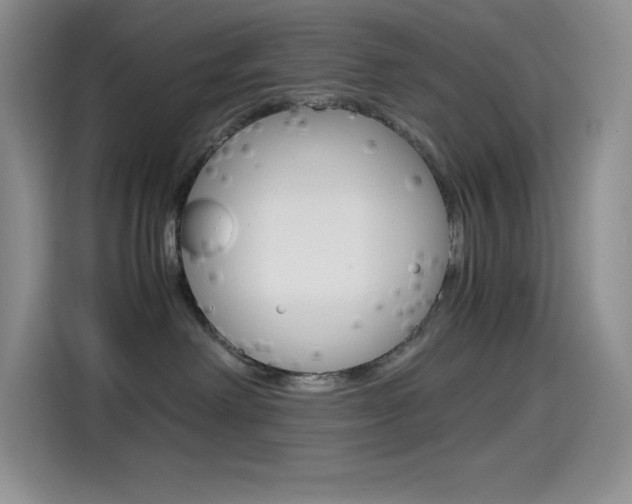 X0000114600238200910191100