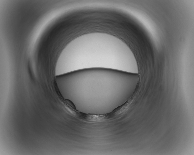 X0000114600239200910191100