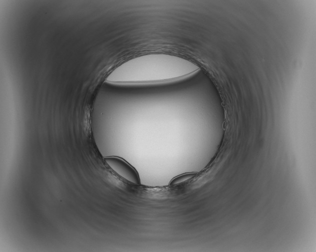 X0000114600240200910191100