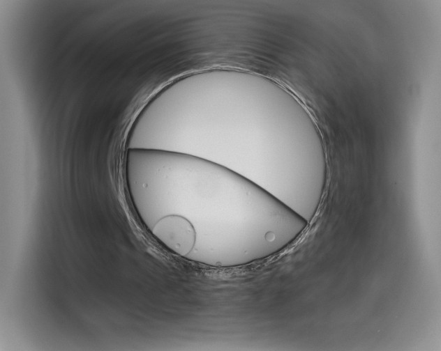 X0000114600241200910191059