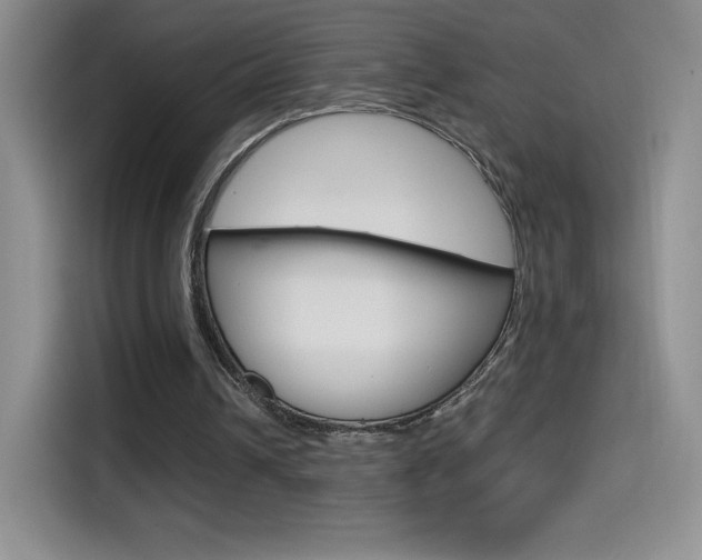 X0000114600242200910191100