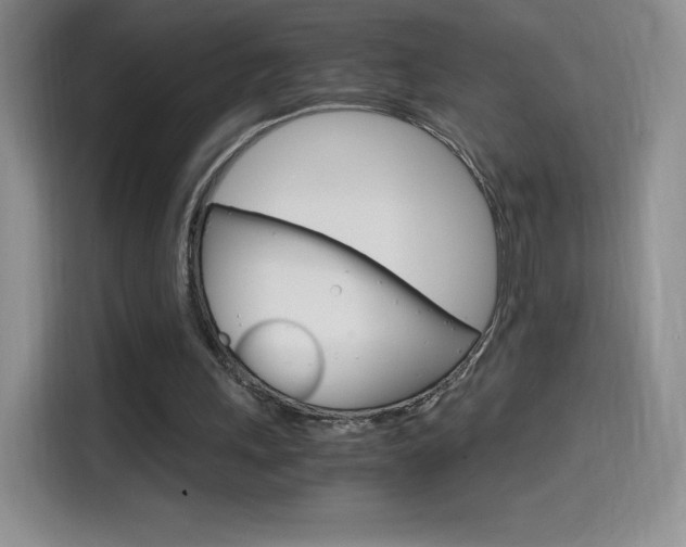 X0000114600243200910191100