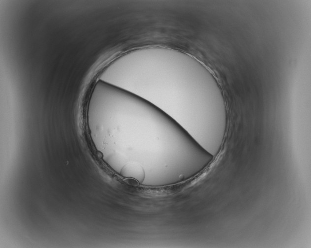 X0000114600245200910191100