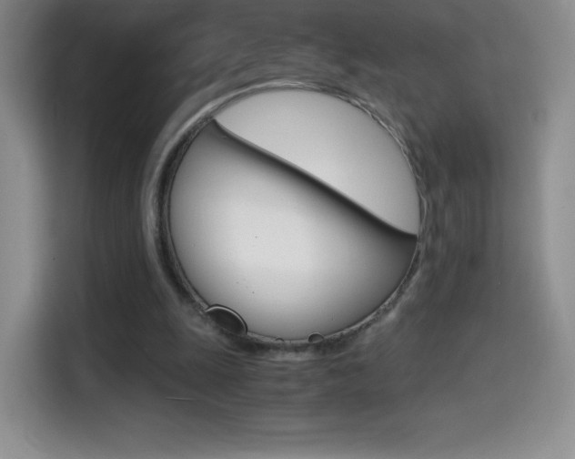 X0000114600247200910191100