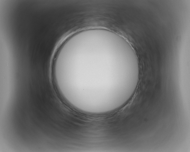 X0000114600248200910191100