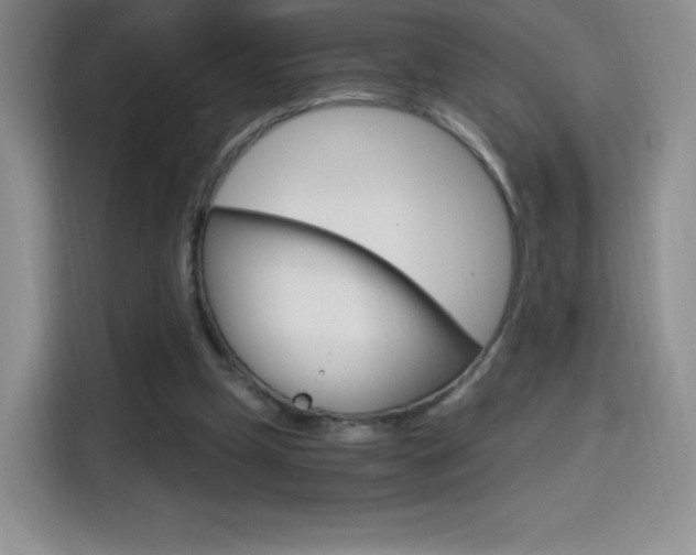 X0000114600249200910191100