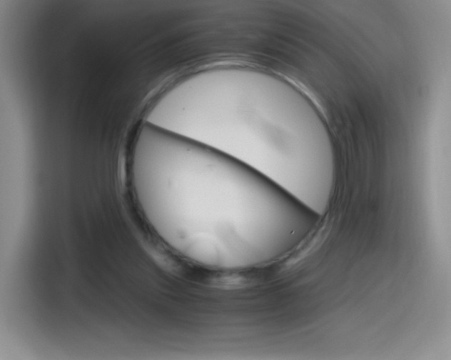 X0000114600253200910191100