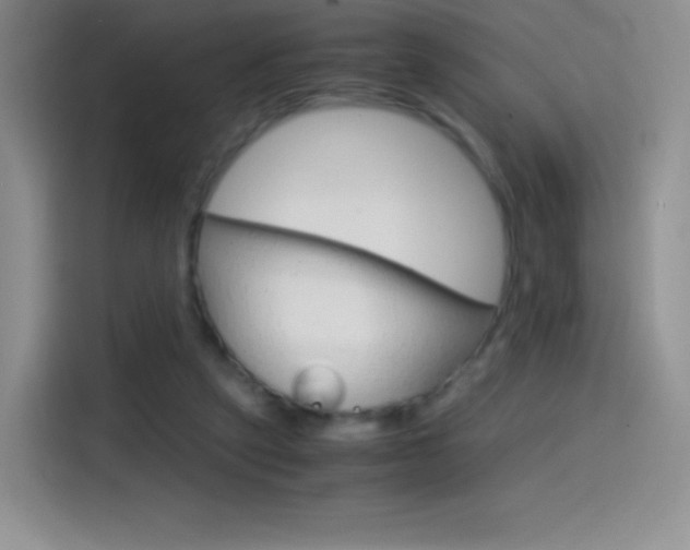 X0000114600257200910191100