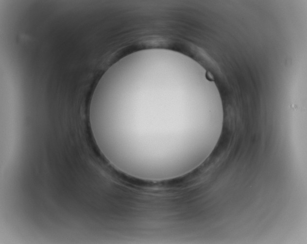 X0000114600259200910191100