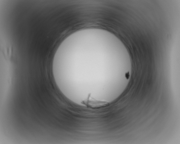 X0000114600260200910191100