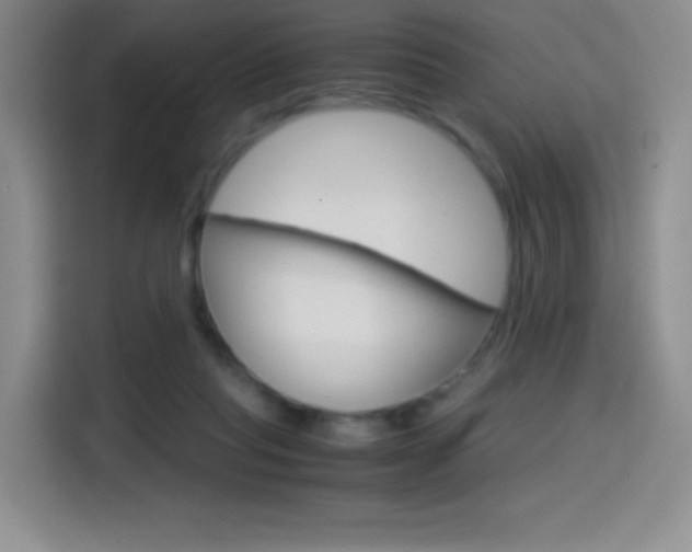 X0000114600261200910191100