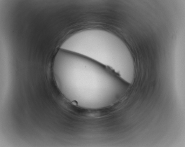 X0000114600263200910191100