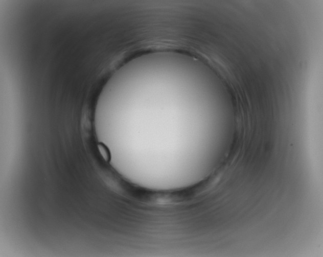 X0000114600264200910191100