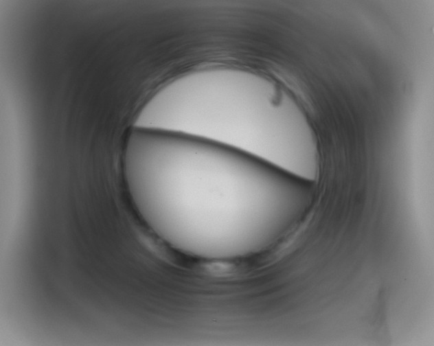 X0000114600265200910191100