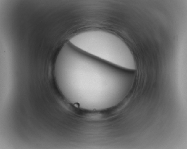 X0000114600266200910191100