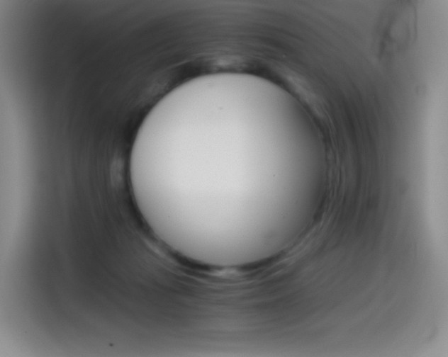 X0000114600269200910191100