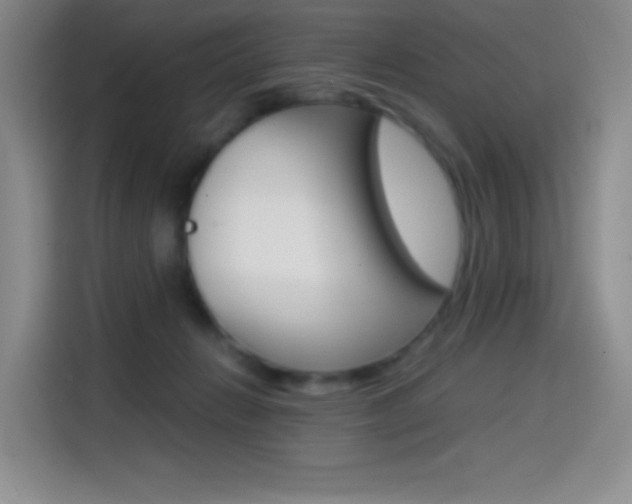 X0000114600270200910191100