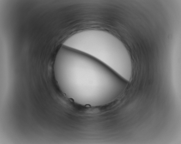 X0000114600271200910191100