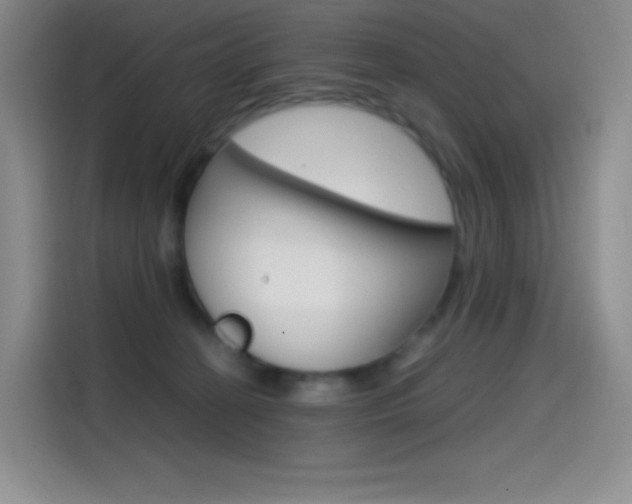 X0000114600274200910191100