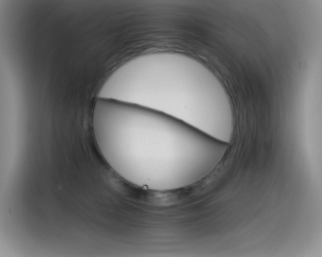 X0000114600277200910191100