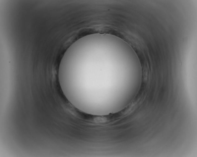 X0000114600279200910191100