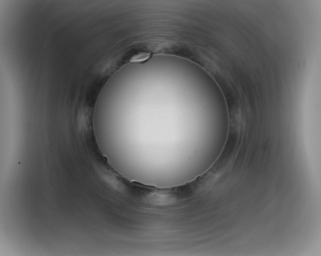 X0000114600280200910191100