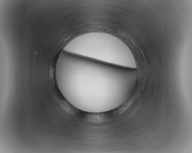 X0000114600282200910191100