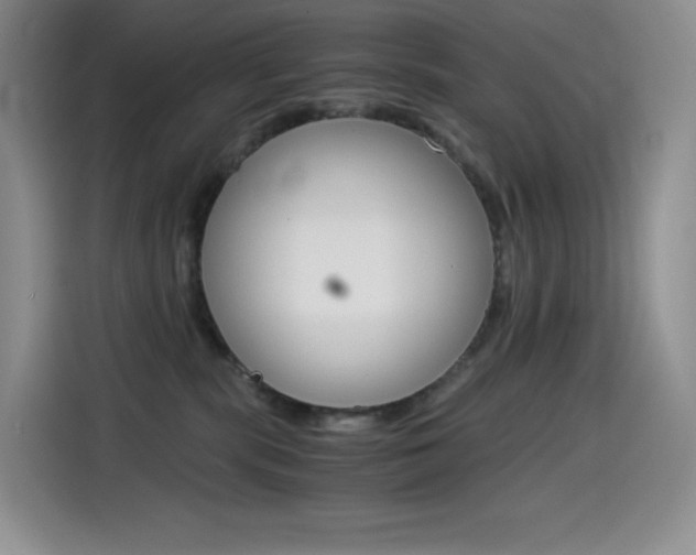 X0000114600283200910191100