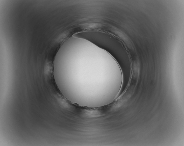 X0000114600284200910191100