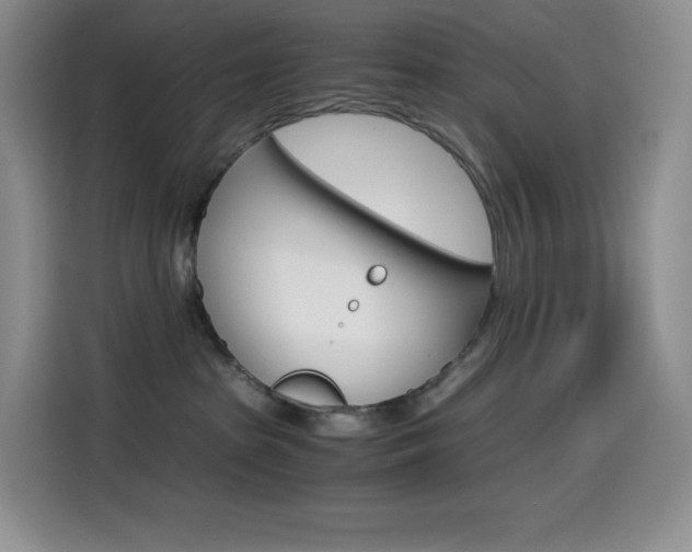 X0000114600285200910191100