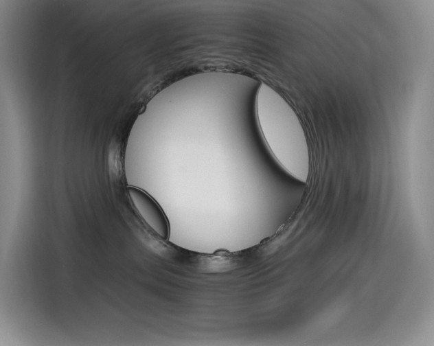 X0000114600287200910191100