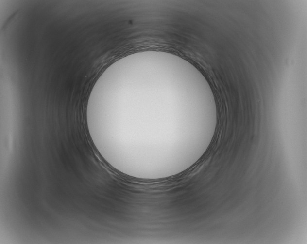 X0000114600288200910191100