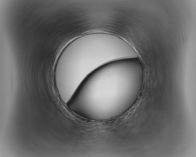 X0000114600289200910191059