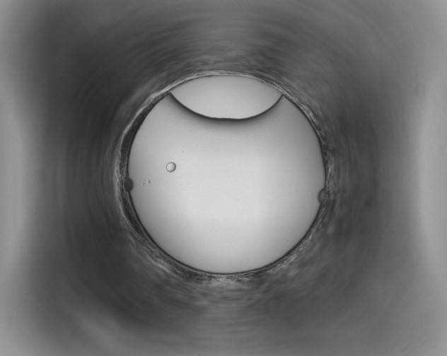 X0000114600290200910191059